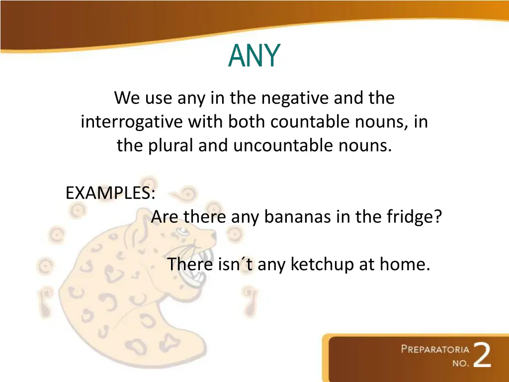 we use any in the negative and the interrogative