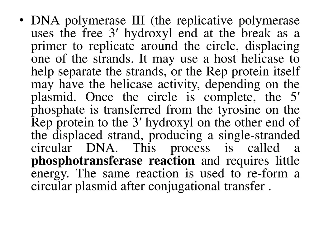 dna polymerase iii the replicative polymerase