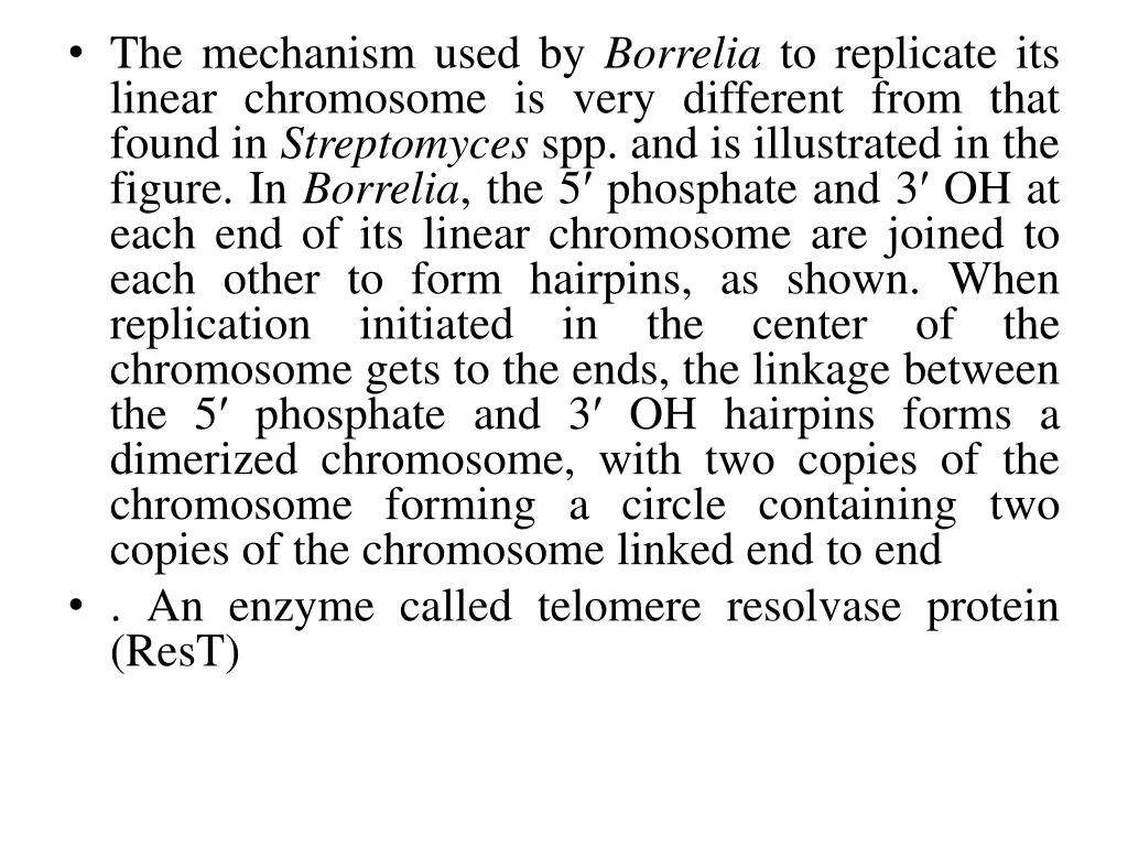 the mechanism used by borrelia to replicate