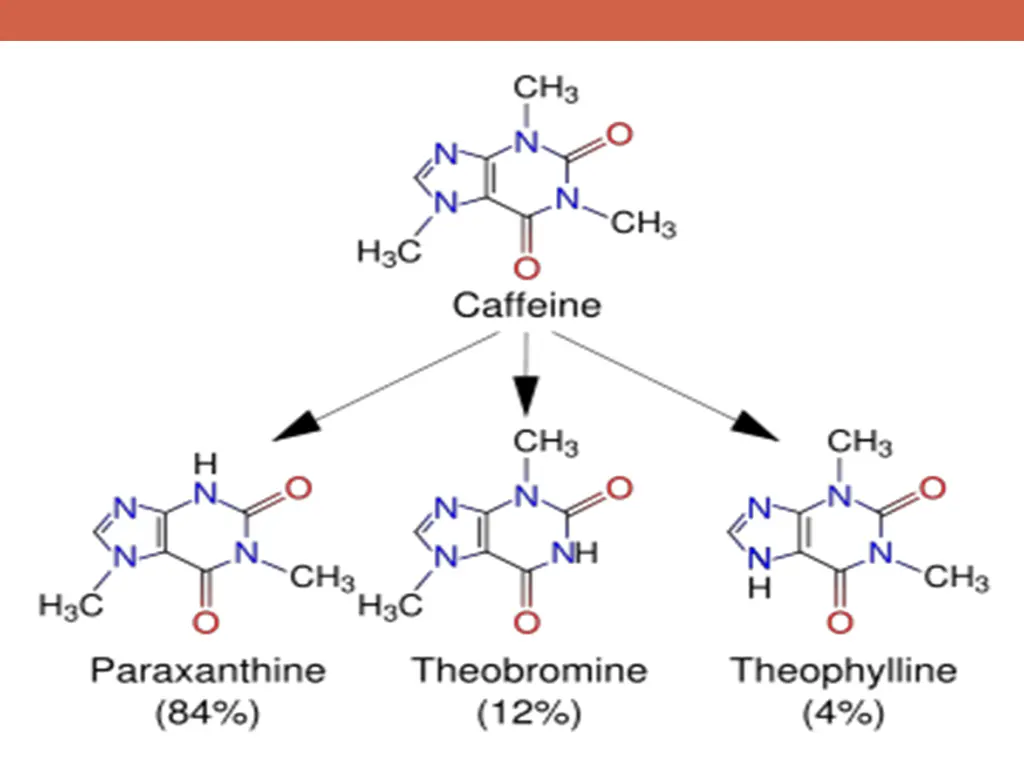 slide6