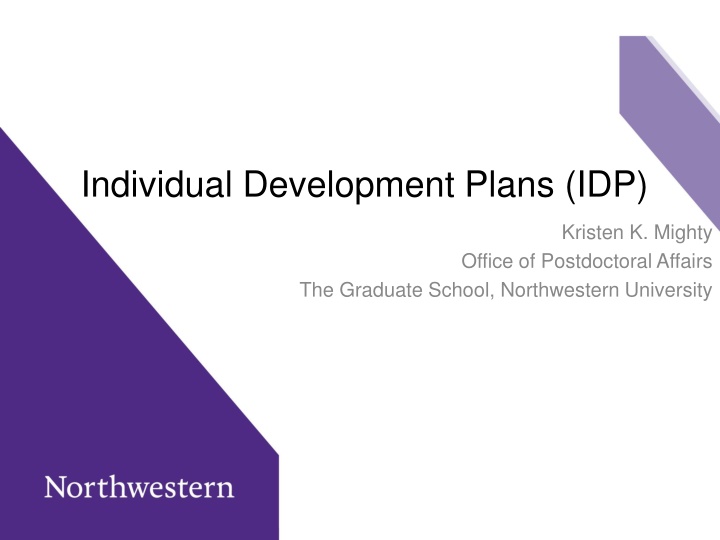 individual development plans idp