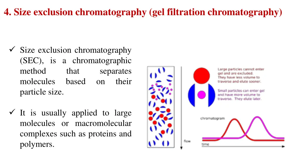 4 size exclusion chromatography gel filtration