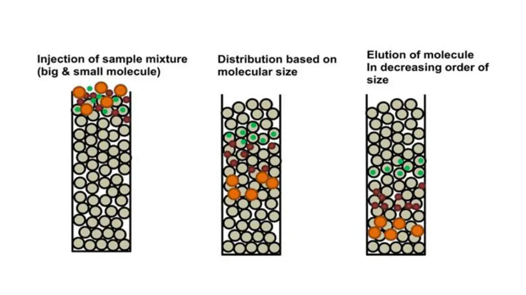 slide11