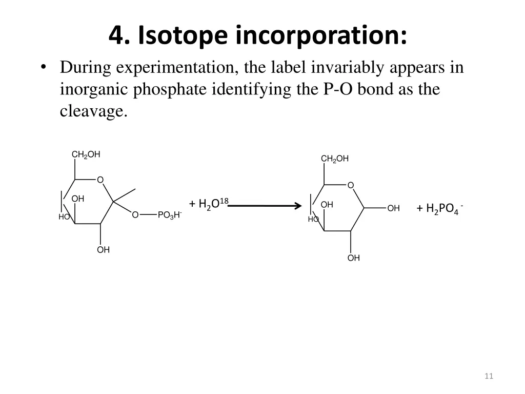 4 isotope incorporation during experimentation