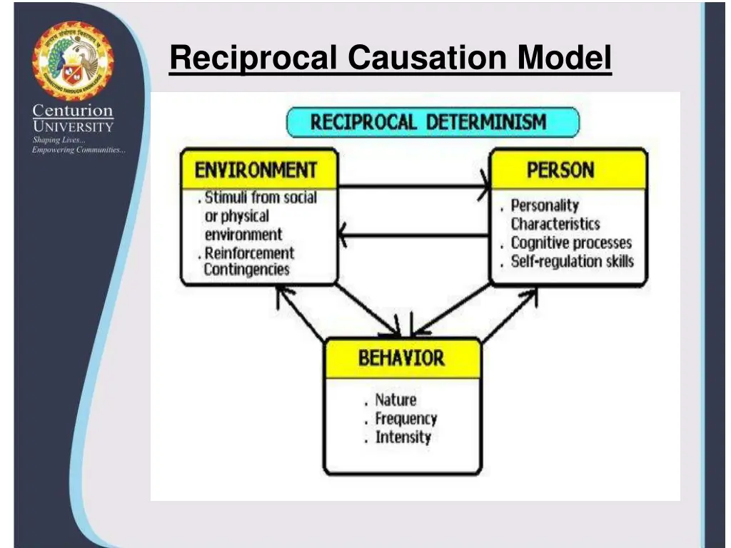 reciprocal causation model