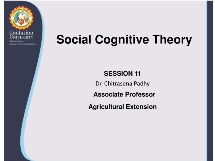 social cognitive theory