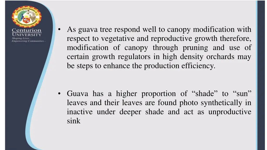 as guava tree respond well to canopy modification