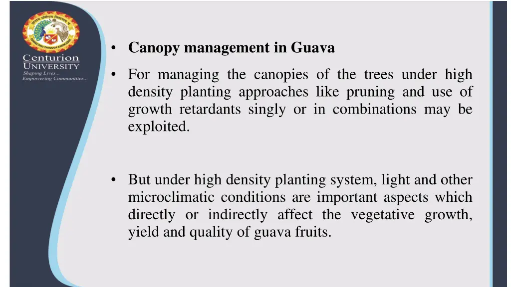 canopy management in guava