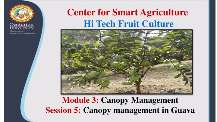 center for smart agriculture hi tech fruit culture