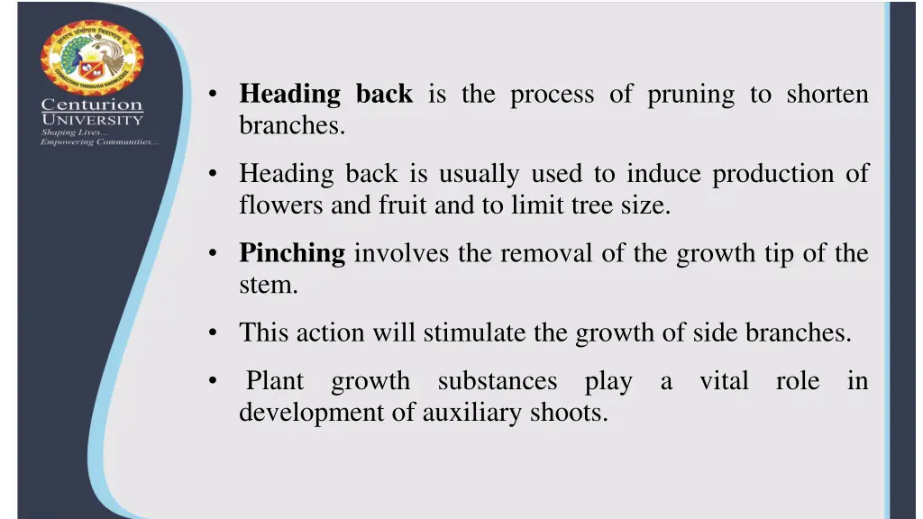 heading back is the process of pruning to shorten