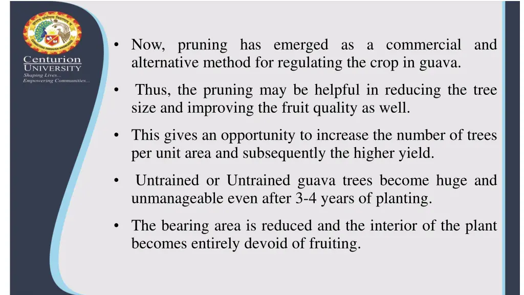 now pruning has emerged as a commercial