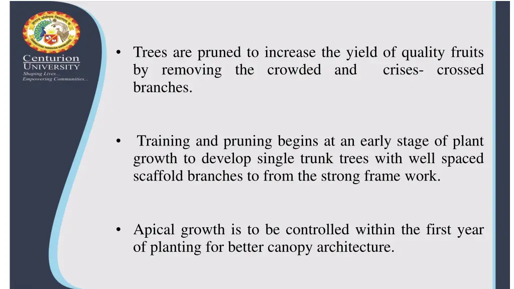 trees are pruned to increase the yield of quality