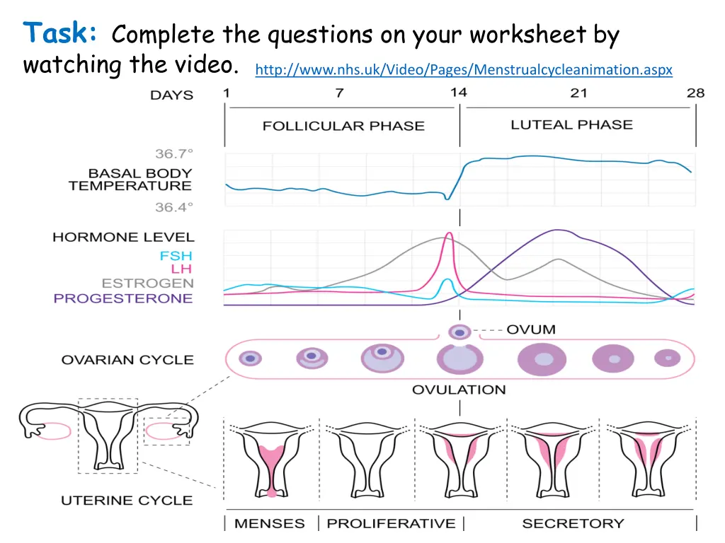 task complete the questions on your worksheet