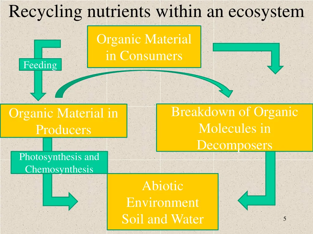 recycling nutrients within an ecosystem