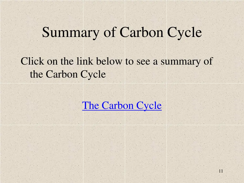 summary of carbon cycle