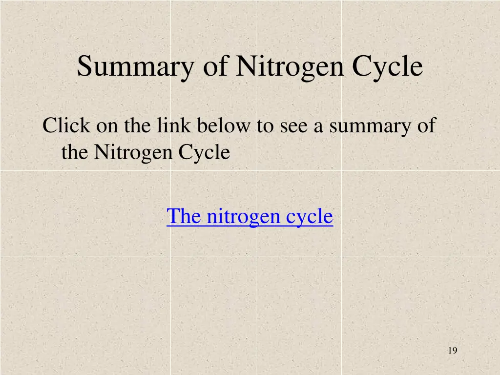 summary of nitrogen cycle