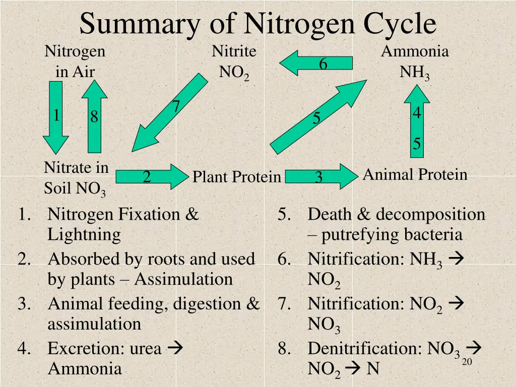 summary of nitrogen cycle nitrogen in air no 2