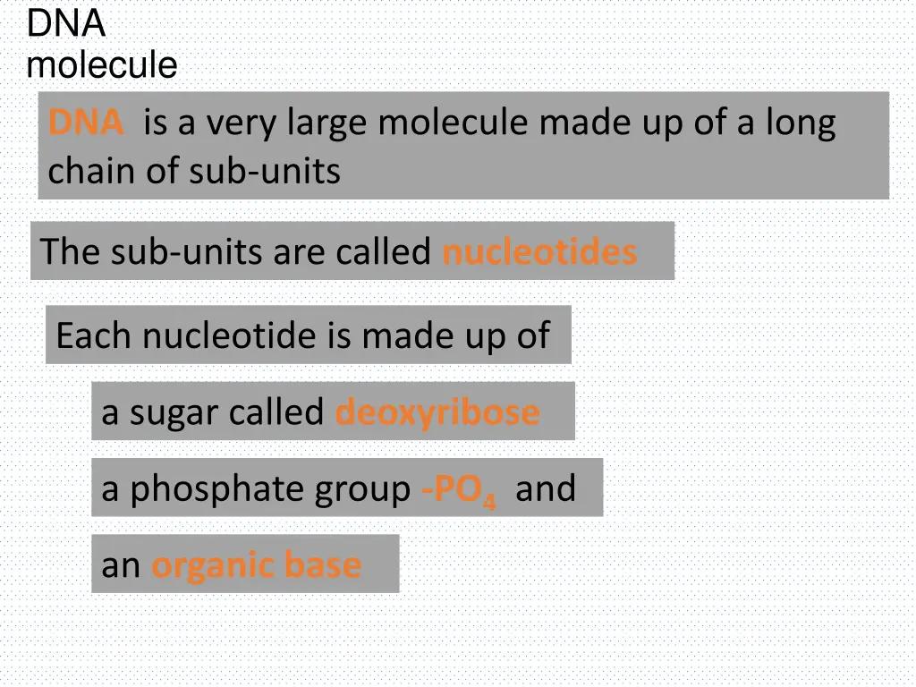 dna molecule