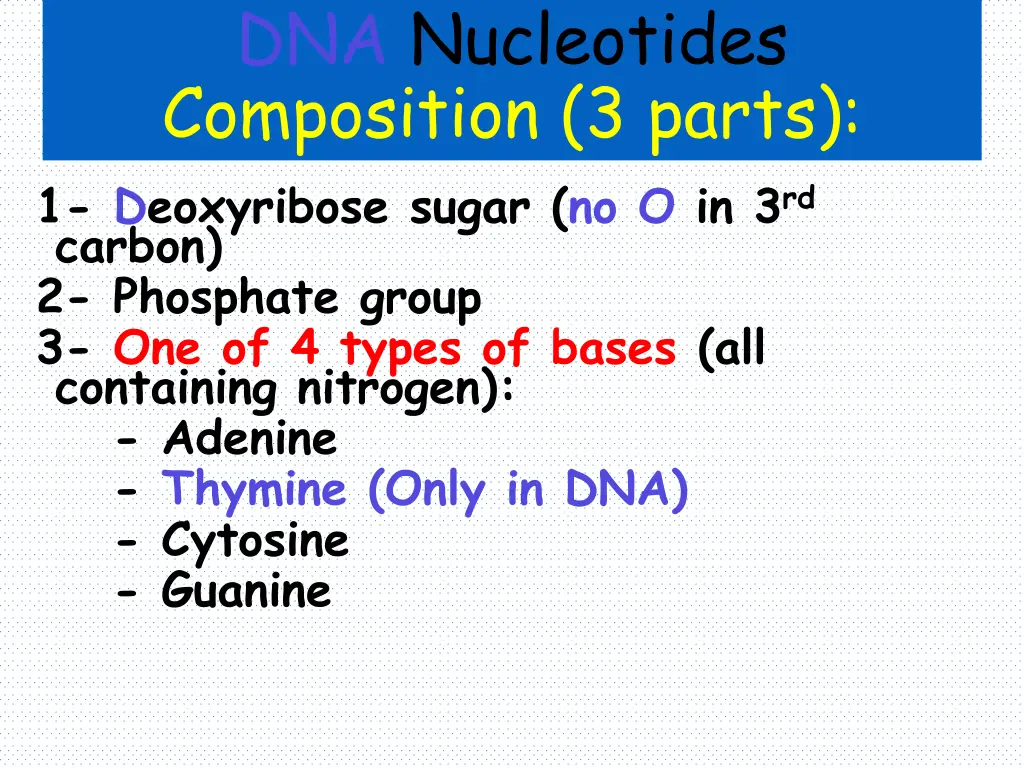 dna nucleotides composition 3 parts 1 deoxyribose