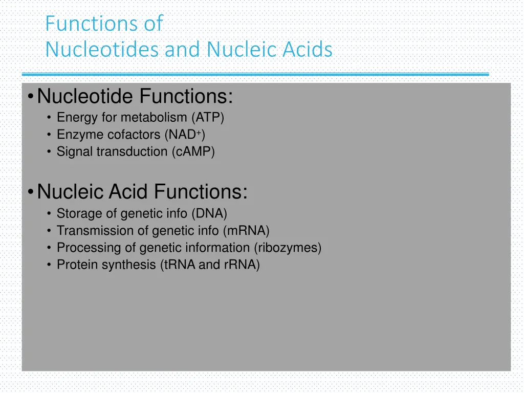 functions of nucleotides and nucleic acids