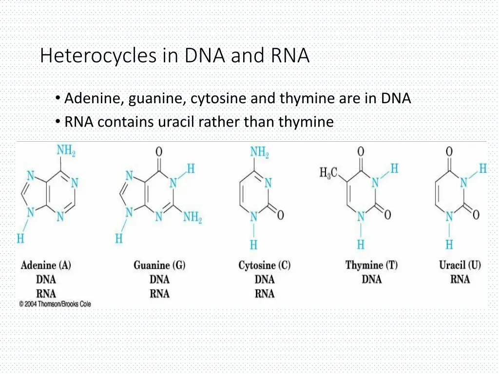 heterocycles in dna and rna