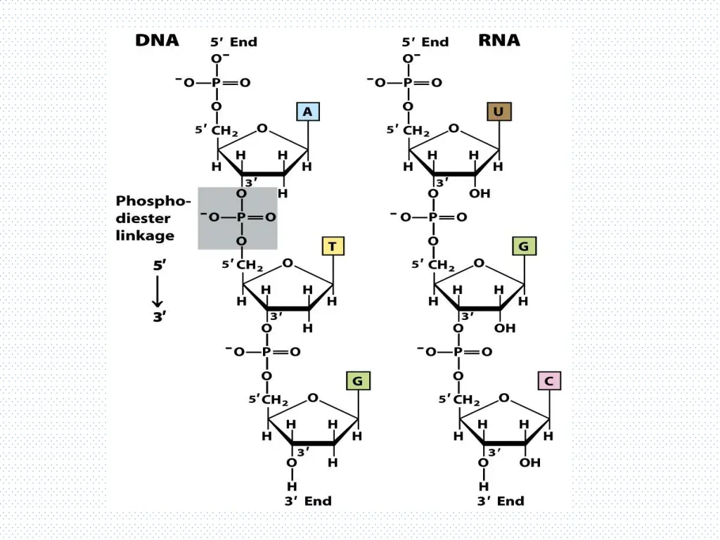 slide23