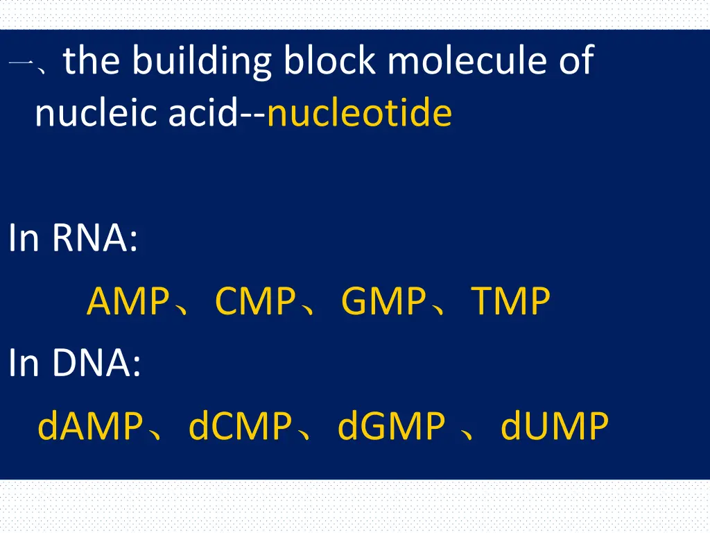 the building block molecule of nucleic acid