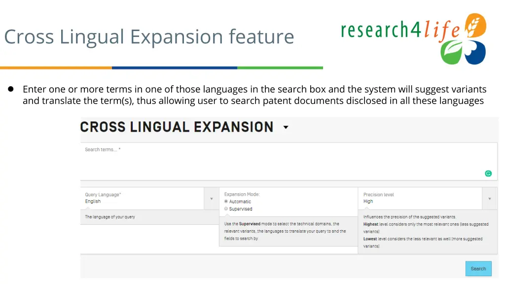 cross lingual expansion feature