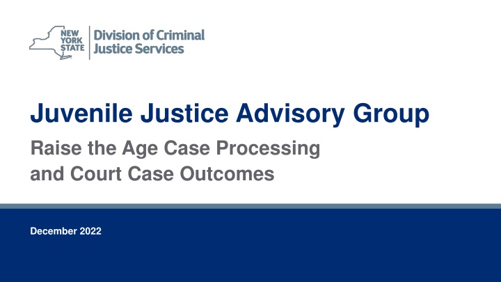 juvenile justice advisory group raise