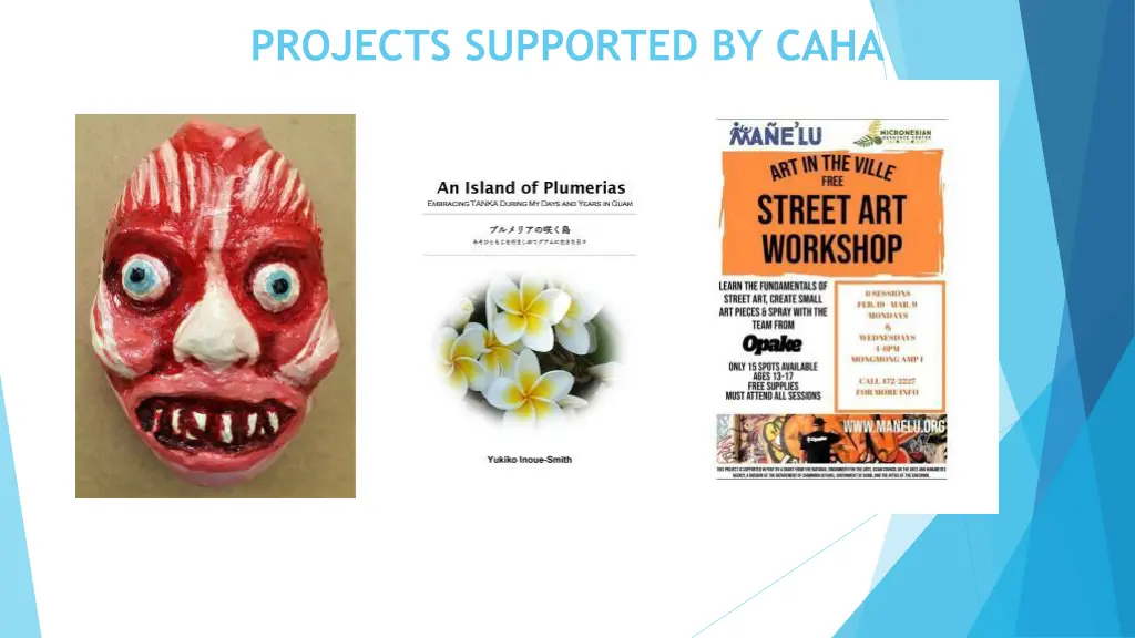 projects supported by caha