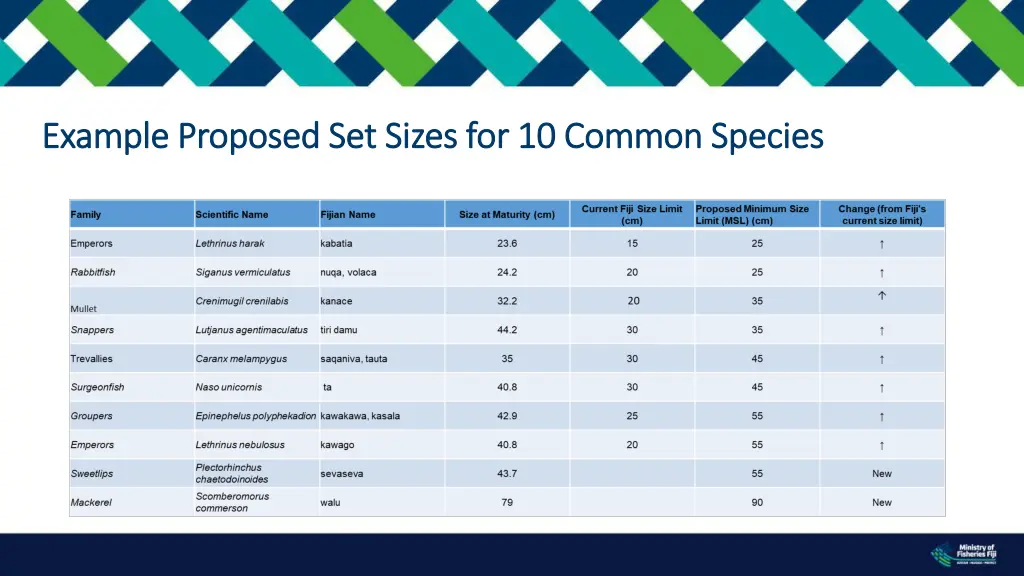 example proposed set sizes for 10 common species