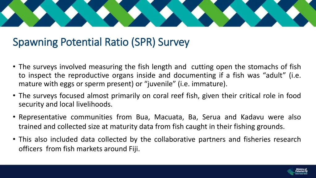 spawning potential ratio spr survey spawning