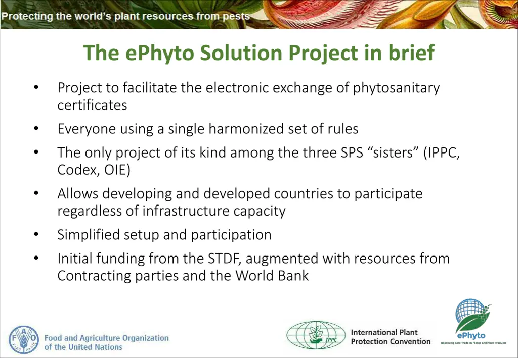 the ephyto solution project in brief 1