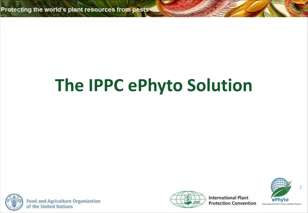 the ippc ephyto solution 1