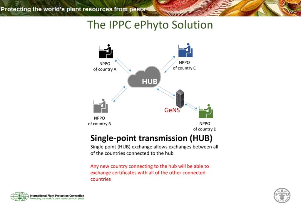 the ippc ephyto solution 2