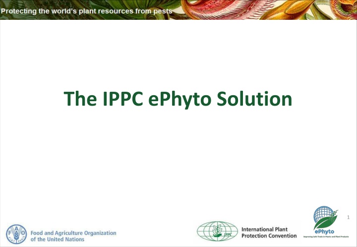 the ippc ephyto solution