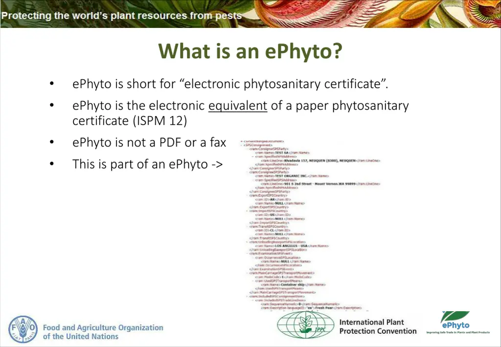 what is an ephyto 1