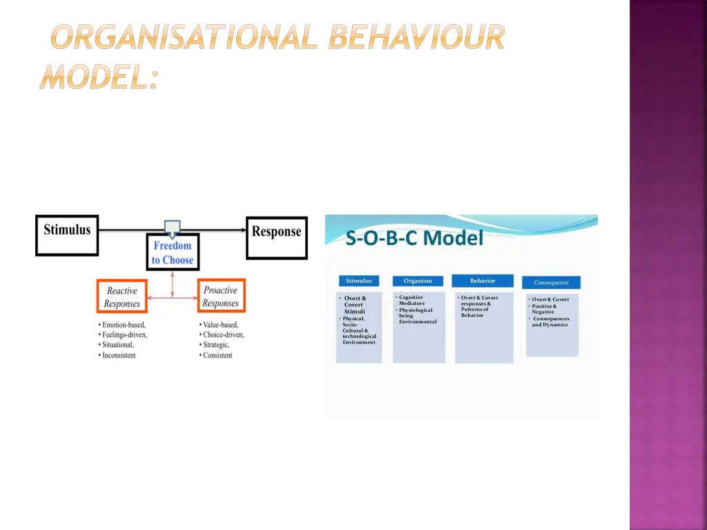 organisational behaviour model