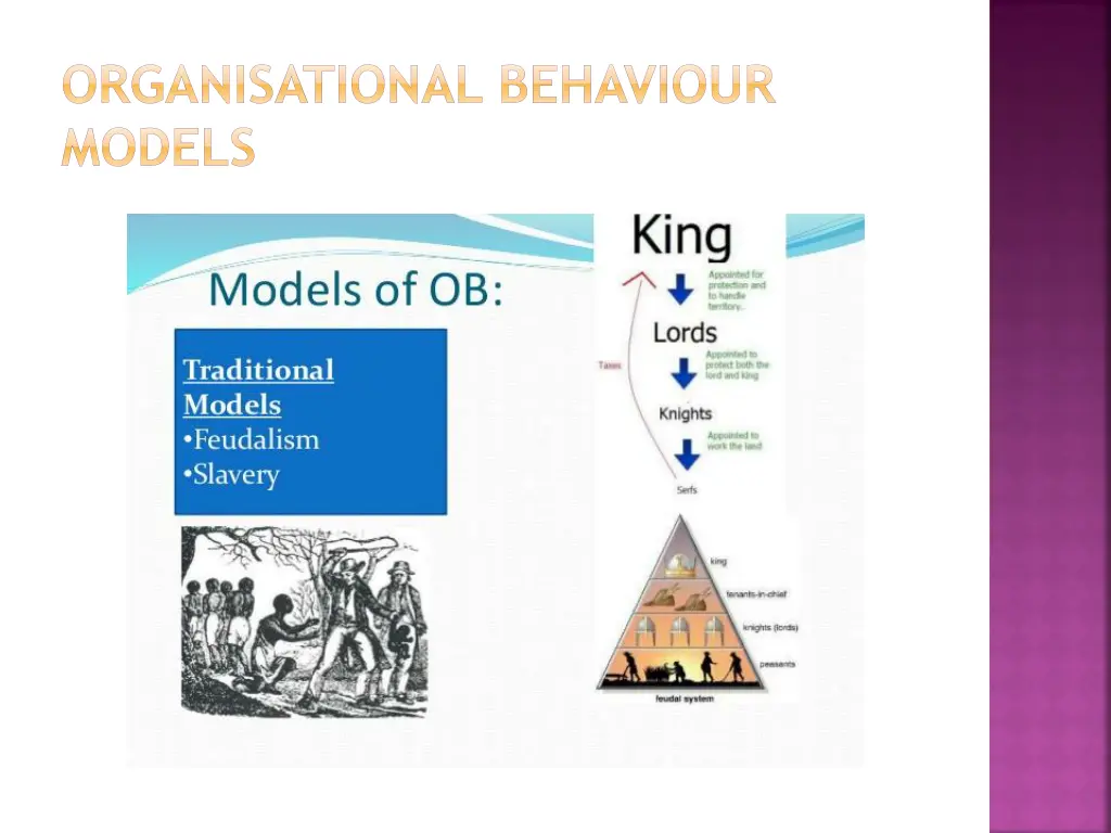 organisational behaviour models