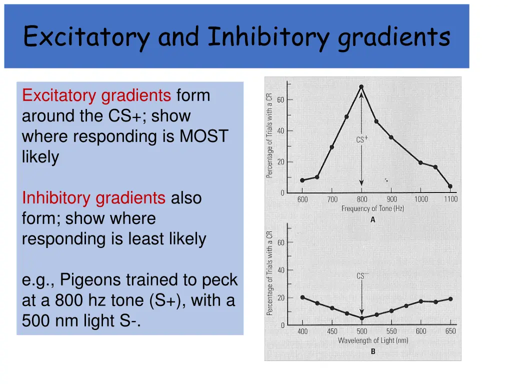 excitatory and inhibitory gradients