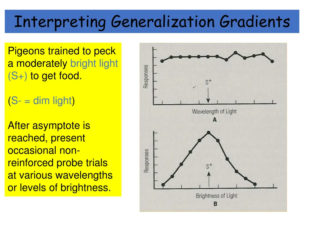 interpreting generalization gradients