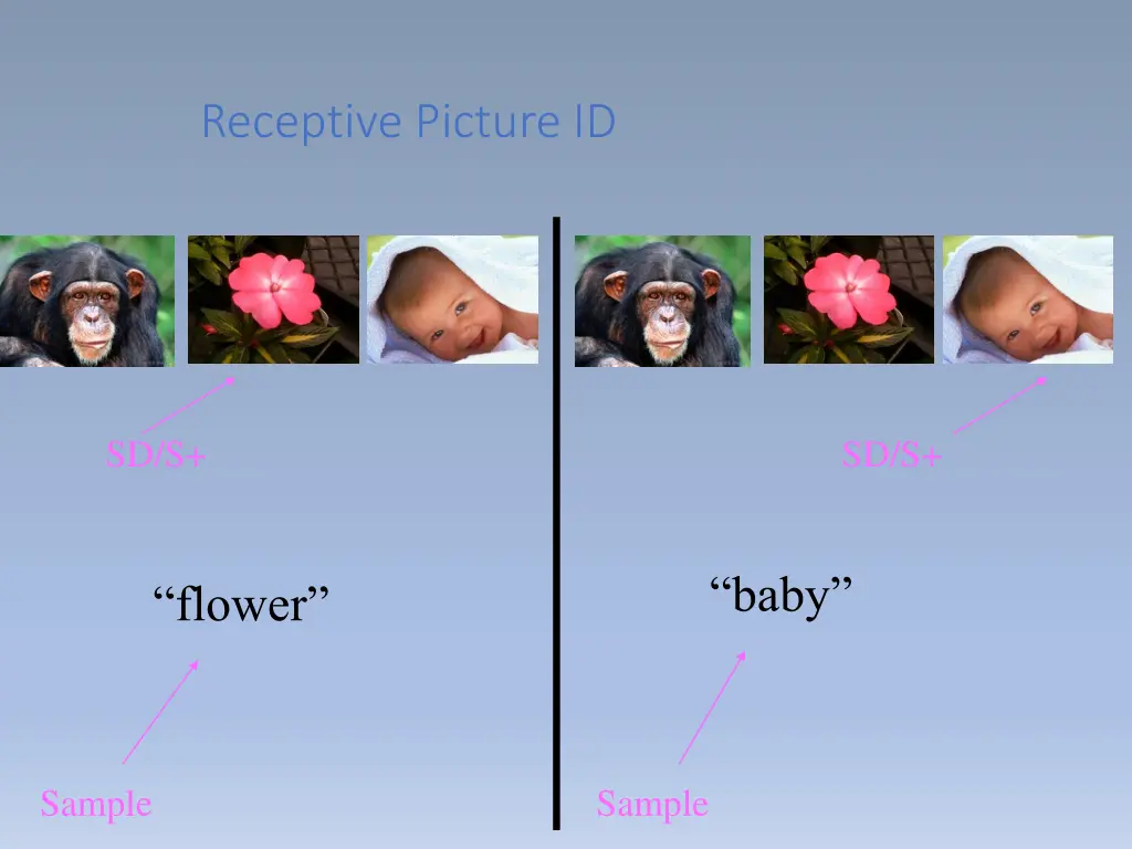 receptive picture id