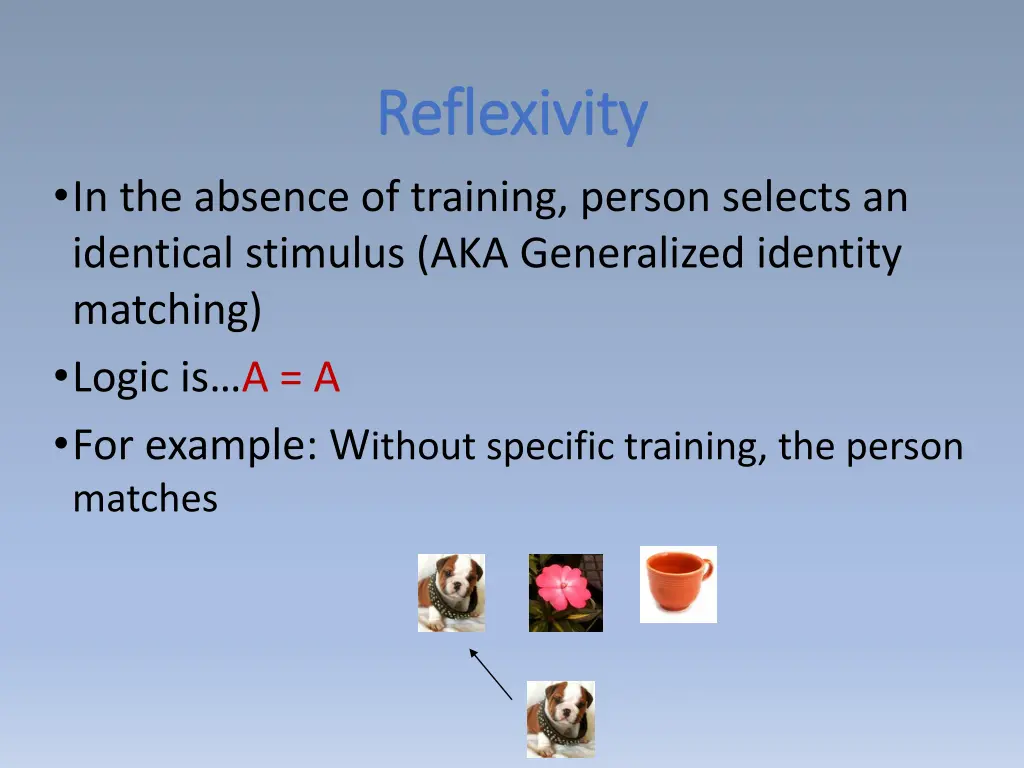 reflexivity reflexivity