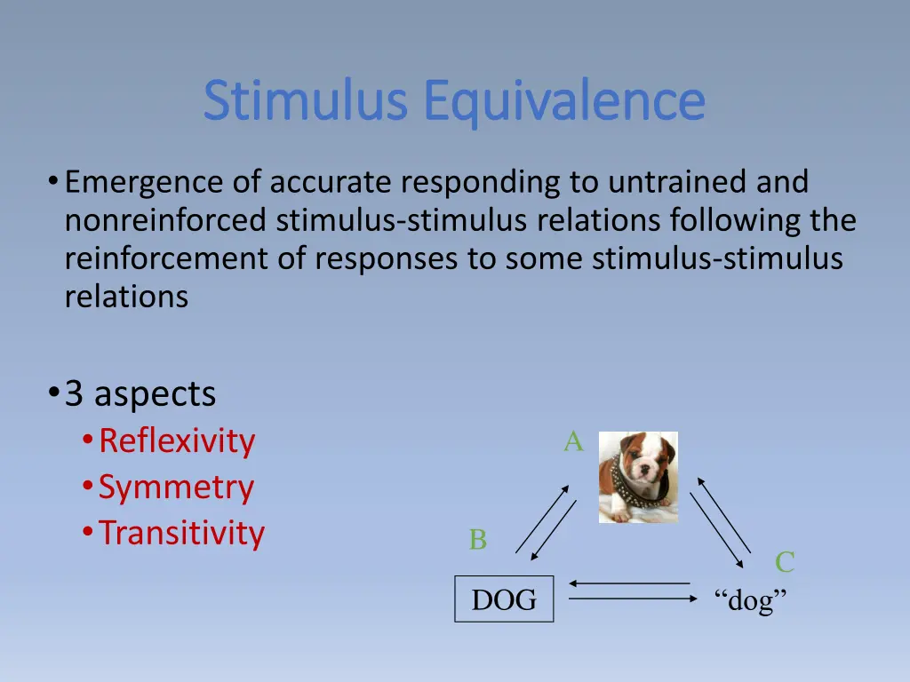 stimulus equivalence stimulus equivalence