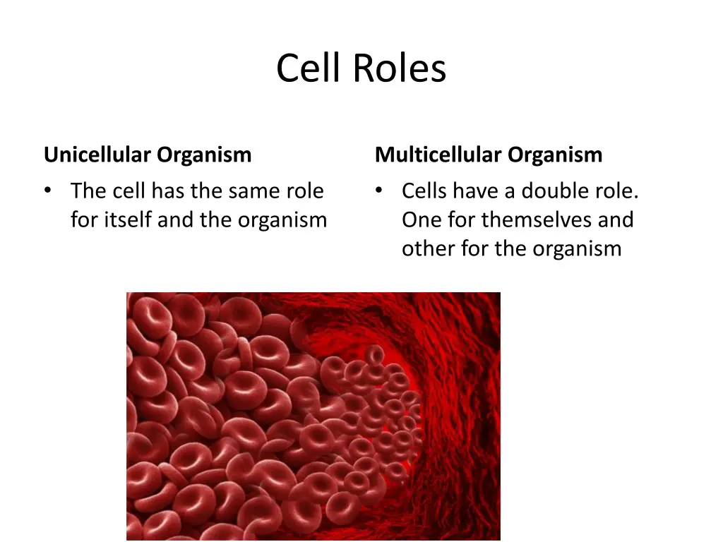 cell roles