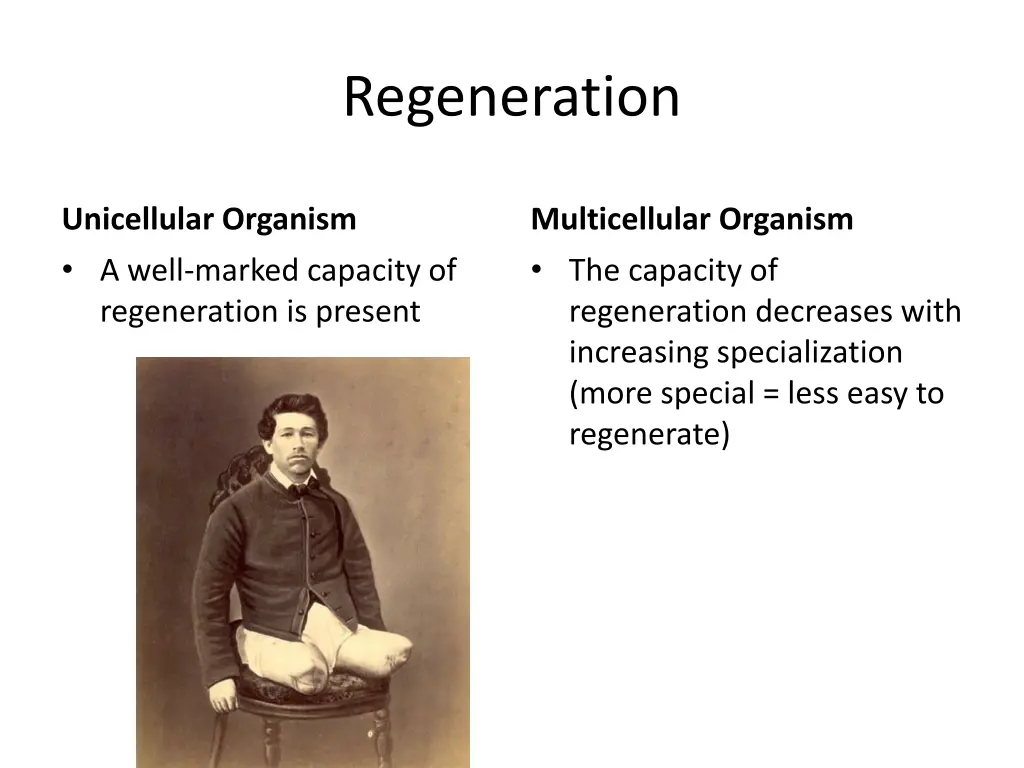 regeneration