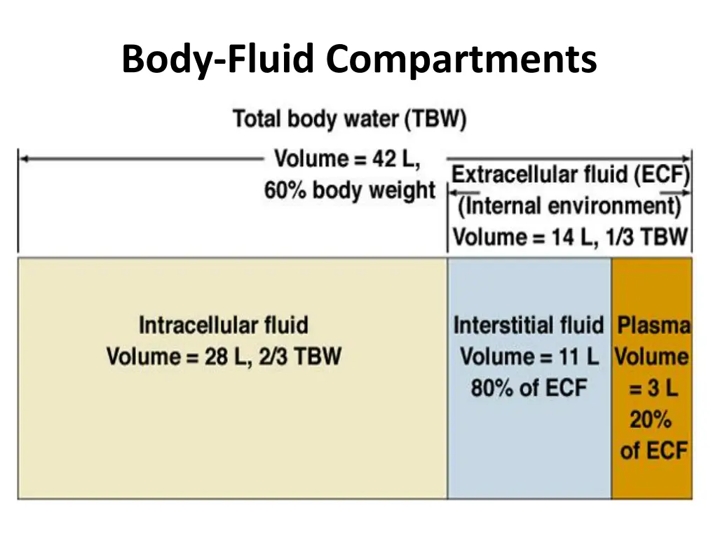 body fluid compartments