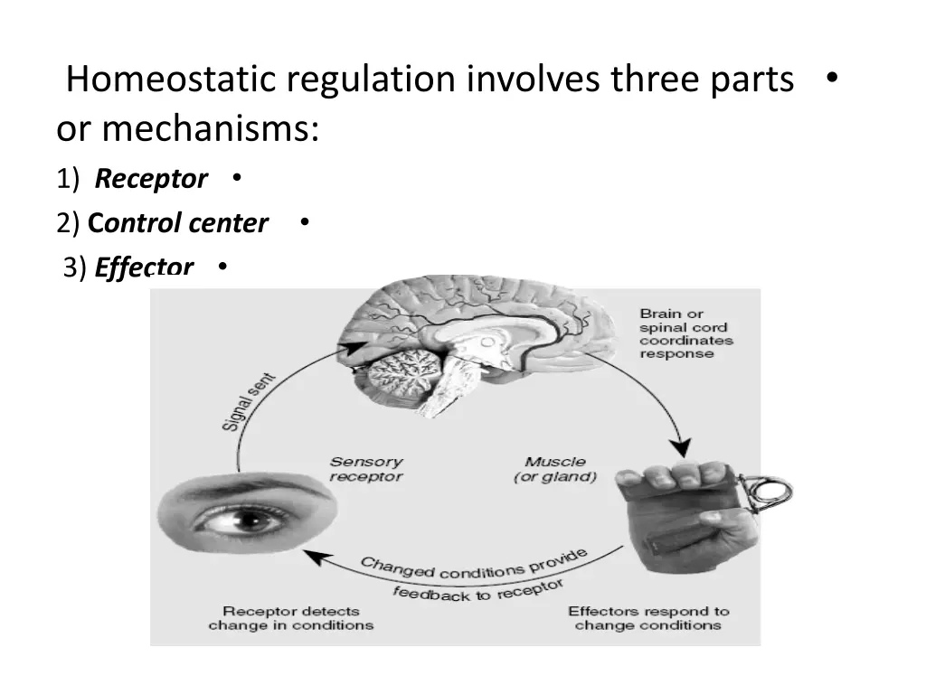 slide13