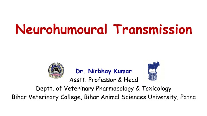 neurohumoural transmission