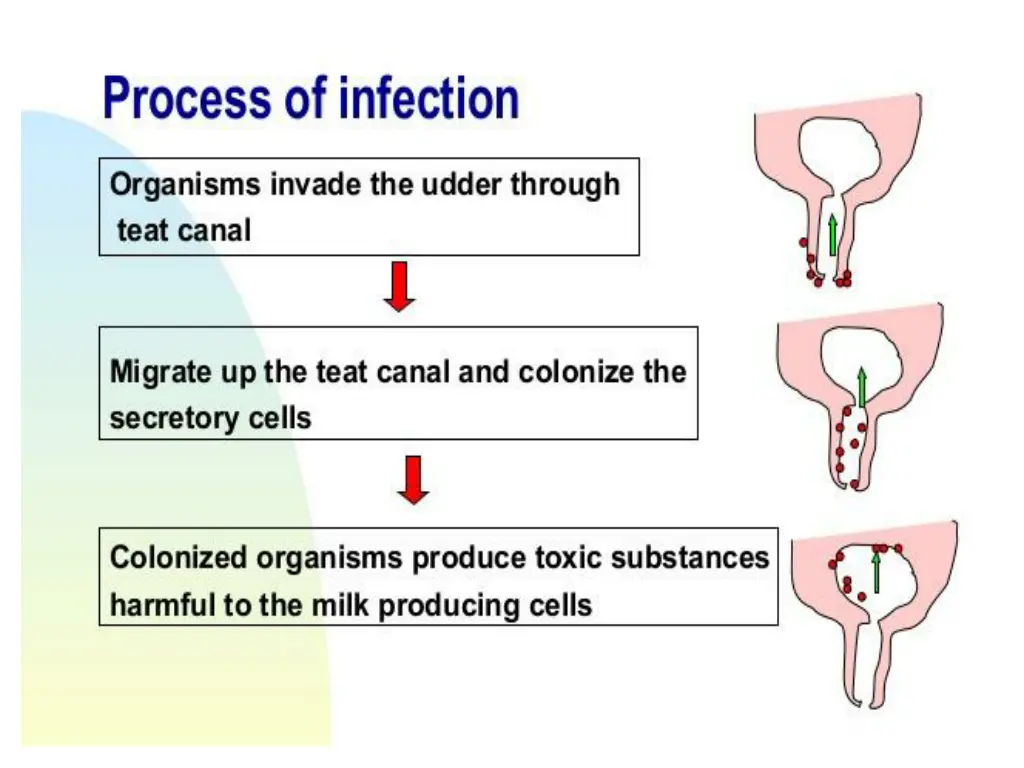 slide7